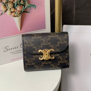 Celine Small Triomphe Wallet Replica / Triomphe Canvas 10D782CQH_04LU Sold Out