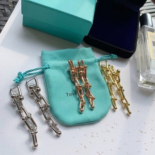 Classic Tiffany Hardwear Graduated Link Earrings Replica Tia20282