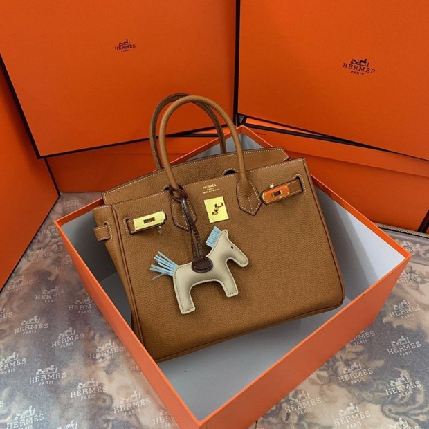 Hermes Replica Birkin 25cm Togo Gold Hardware he26016