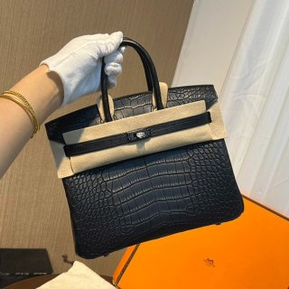 Hermes Birkin 25 Alligator Matte So Black Replica Black Hardware 2011 erg44462