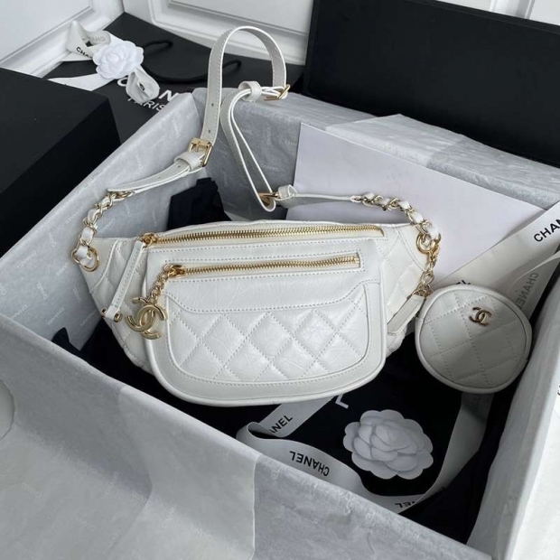 Eye-catching color Chanel crossbody bag replica AS1077
