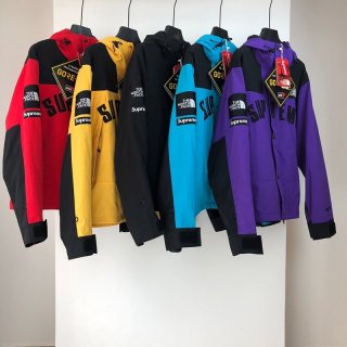Extremely rare! Supreme x North Face Arc Logo Mountain Parka replica Nok16075