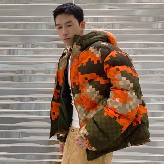 Rare Louis Vuitton Printed Puffer Jacket Replica 1AFXPK