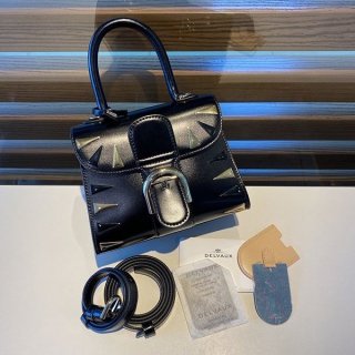 Stylish? Delvaux Brillant Mini Box Calf Replica Ded33318