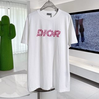 Classic Dior n-grade Coral logo T-shirt der99387