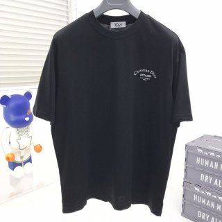 New Dior T-shirt for Spring/Summer, copy, CD embroidery, collaboration, lion, oversized, deg27979