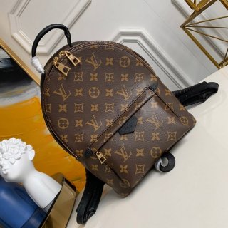 Love at first sight? Louis Vuitton backpack replica Palm Springs backpack pm? Monogram M44871