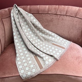 Perfect gift? Dior CANNAGE scarf, cheap 31CAN205I005_C532 dei30398