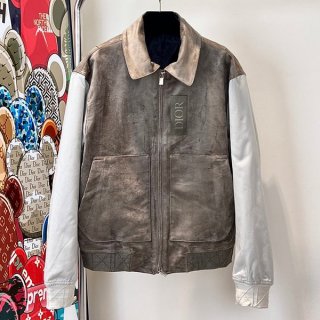 New design Dior replica teddy jacket stadium jacket deg04489
