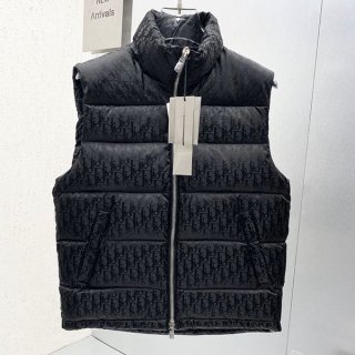 Eye-catching color Dior sleeveless down jacket copy den48969
