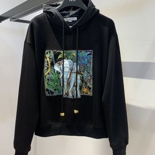 Popular all over the world? Dior elephant embroidered hoodie replica der88685