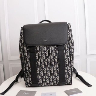 Rare color Dior OBLIQUE MOTION backpack copy dex87551