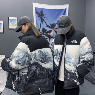 ★Japan!! Popular! Nuptse Fake Supreme North Face Down Leather Down Jacket Shd08554