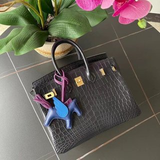 New color ☆ Rare Hermes Crocodile Birkin 25 eri58452