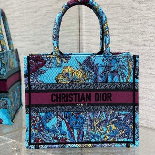 Dior replica book tote bag small deb64121