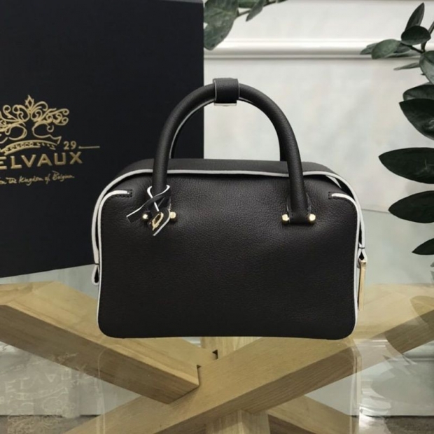 The hot topic! Delvaux Cool Box Mini Cool Box replica mini bag Den19512
