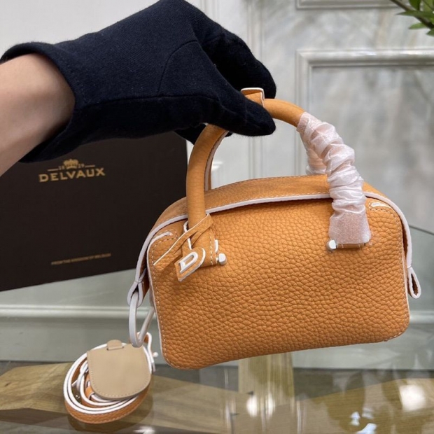 New for Autumn/Winter Delvaux Cool Box Mini Bag Replica Dey56949