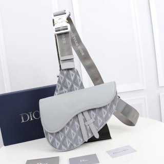 Dior Mini Handbag Replica AND PETER DOIG SADDLE Bag deq73852