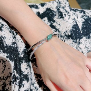 Rare Tiffany Replica Knot Double Row Hinge Bangle Tii30168