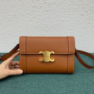 Rare color Celine Triomphe shoulder bag replica Ceu83448