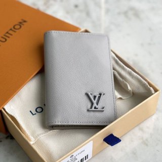 Not available in Japan ★ Louis Vuitton Organizer de Poche fake vux74417
