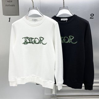 Very popular! Dior replica oversized sweatshirt des76689