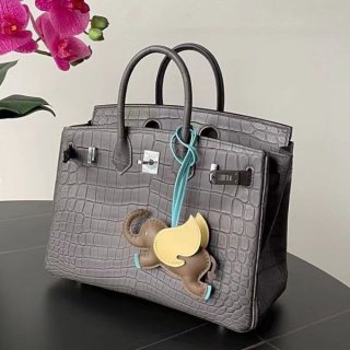 Limited Hermes Crocodile Birkin 25 Replica ers53936