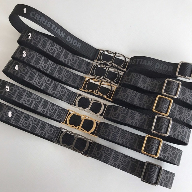 New Fall/Winter Dior Belt Replica 25mm All Colors dey42741