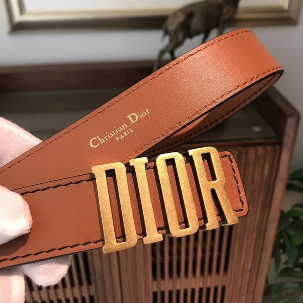 Cute Dior Belt Replica D-Fence 30mm Calfskin DEQ54385