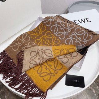 Love at first sight? Loewe Anagram L Scarf Replica Large Multicolor loe42702